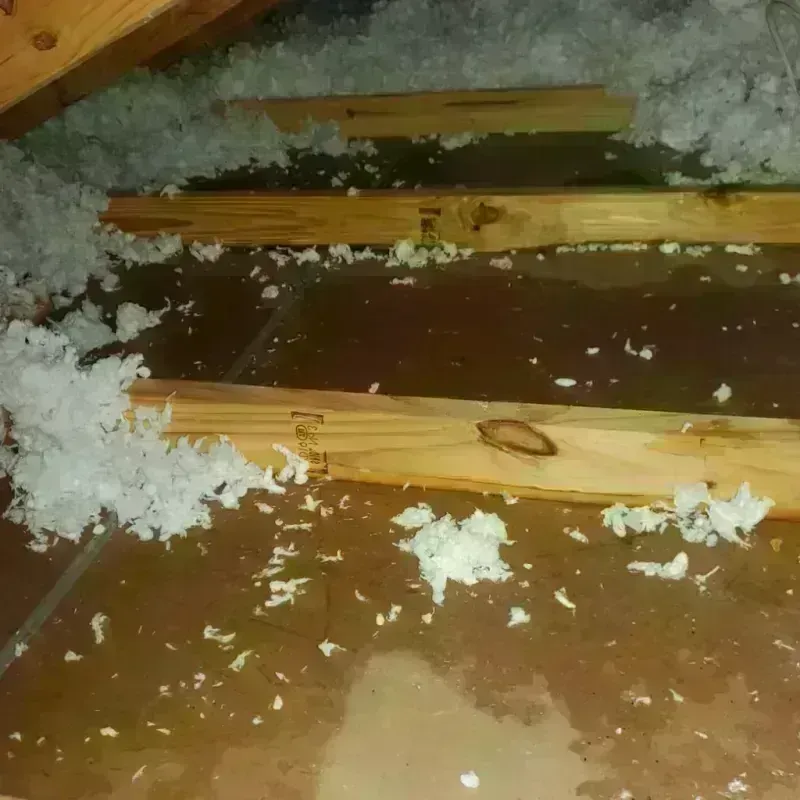 Attic Water Damage in Cass County, IL