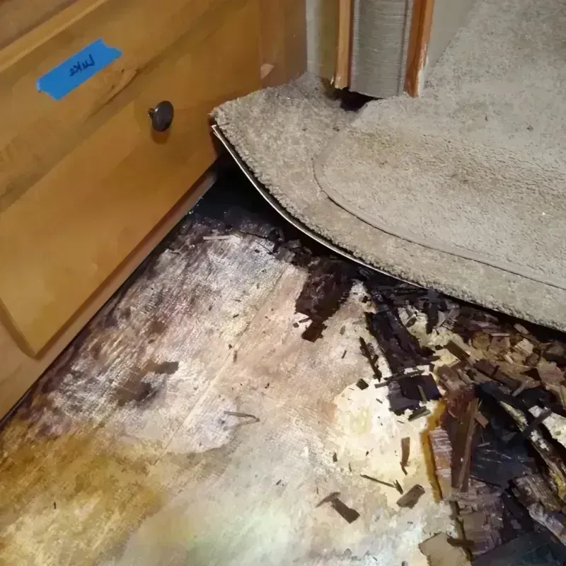 Wood Floor Water Damage in Cass County, IL